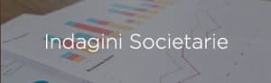 Indagini societarie