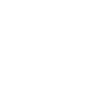 Leonardo international investigation Logo bianco