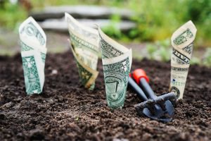 Come fare soldi, schema ponzi