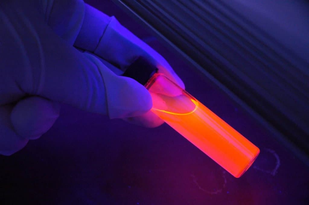 Analisi DNA e Tracce biologiche